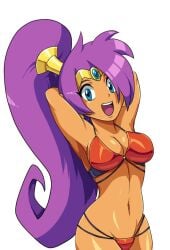 1girls armpits big_breasts bikini bikini_bottom bikini_top blue_eyes breasts cleavage clothing female female_only hair hands_behind_head hips open_mouth ponytail purple_hair red_bikini scittykitty shantae shantae_(character) smooth_skin solo solo_female swimsuit swimwear