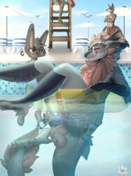 absurd_res anthro dildo flaumy furry hi_res knot la_pockis male nardoragon pool_float public public_nudity public_use sex_toy solo_focus