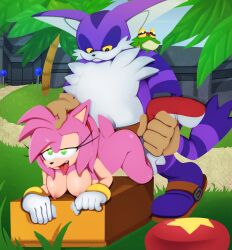 ambiguous_penetration amy_rose big_the_cat bouncy_spring pink_fur saltorii senshion shoes_only sonic_(series) sonic_the_hedgehog_(series) tongue_out