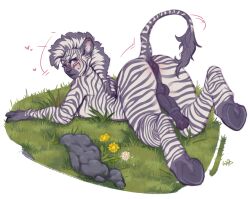 animal_genitalia animal_penis anthro anus backsack balls equid equine equine_anus equine_genitalia equine_penis femboy genitals grass hooves humanoid_face looking_back male mammal multicolored_body nipples nude_anthro nude_male penis plant puffy_anus rear_view rock simple_background solo striped_body stripes tail_anus thick_thighs white_background white_body wulvercazz zebra