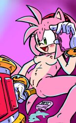 amy rose from sega by randomguy999