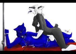 anthro balls black blue bondage canine collar cuffs cum doberman dog drool fur furry futanari handcuffs herm inconsistent intersex jekka kneeling knot leash orgasm penis precum saliva seth-iova straddling tie tongue vaginal_penetration