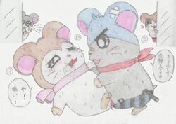 artist_request blood blush dexter_(hamtaro) female hamster hamtaro_(series) howdy_(hamtaro) male pashmina_(hamtaro) sex sky-ham straight tear