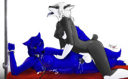 anthro balls black blue breasts canine collar couple cum cum_in_pussy cum_inside fur furry futanari herm intersex jekka knot leash liquorice_black nude penetration penis seth-iova sex sheath vaginal_penetration white_background white_fur white_hair