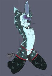 1boy anthro collar fur furry inoby lagomorph male male_only nude rabbit solo stockings