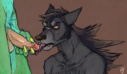 2boys anthro black blue_eyes bridge_piercing canine conrad eyebrow_piercing fellatio foodog fur furry furry_only gay green jake licking lip_piercing male male_only no_humans oral oral_sex penis piercing reluctant septum_piercing sex testicles tongue tongue_piercing volvo werewolf wolf