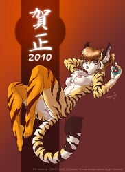 2010 anthro blush breasts brown_hair censored dr_comet feline female fur furry hair japanese levitation looking_at_viewer materia solo stockings tail tiger