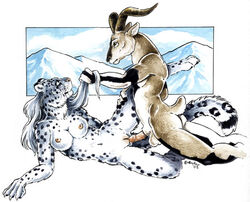 2005 anthro breasts feline female fur furry goat heather_bruton hunter imminent_penetration leopard male nude on_side penis predator_prey_reversal pussy sex snow_leopard