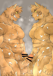 anthro balls censored cum dandoo eye_contact feline fog fur furry furry_only gay grin humanoid_penis looking_at_another male muscles nude penis steam stripes sweat teeth tiger