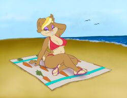 anthro beach_blanket bikini eric_schwartz female furry looney_tunes nipple_bulge patricia_bunny solo the_looney_tunes_show