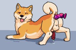 anal anal_sex animal_dildo animal_genitalia animal_penis animal_sex_toy anus arched_back ass ass_up balls bodily_fluids canid canine canine_dildo canine_penis canis cum curled_tail dildo dildo_in_ass dildo_insertion domestic_dog feral fur genital_fluids genitals haku_(hdoge) hdoge_(artist) looking_at_viewer lube_on_dildo male male/male mammal multicolored_body multicolored_fur one_eye_closed orange_body orange_fur pawpads paws penetration penis presenting presenting_hindquarters quadruped red_eyes sex_toy sex_toy_in_ass sex_toy_insertion shiba_inu simple_background smile smirk solo spitz spread_legs spreading tongue tongue_out two_tone_body two_tone_fur wink