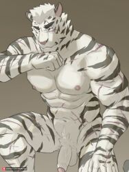 2021 abs anthro arknights balls biceps black_stripes felid flaccid foreskin fur genitals hair hi_res humanoid_genitalia hypergryph looking_aside male male_only mammal mountain_(arknights) muscular muscular_anthro muscular_male navel nipples nude pantherine pecs penis pngx_(artist) portrait pubes scar short_hair simple_background solo standing stripes studio_montagne three-quarter_portrait tiger video_games white_body white_fur wiping_mouth