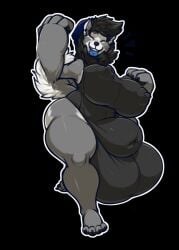 1boy anthro arai araidian_(artist) ass beanie black_hair breast bulge bulge_through_clothing busty_boy canine furry gray_fur grey_fur hips husky large_ass large_breasts leotard male male_focus male_only male_with_breasts nipple_bulge nipple_piercing swimsuit thick_thighs thighs white_fur wide_hips