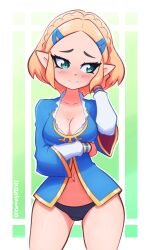 princess zelda from breath of the wild by doodledeli
