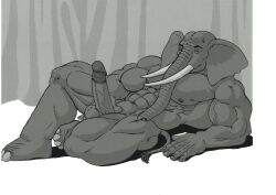 anthro big_penis curtains elephant elephantid genitals lying male male_only mammal muscular muscular_male on_back penis proboscidean solo sudonym tail_tuft trunk tuft tusks