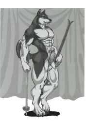 abs anthro big_penis canid canine curtains genitals hi_res humanoid male mammal muscular muscular_male pecs penis ski ski_poles solo sudonym