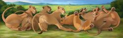 2022 2022s anus disney disney_sequel felid female feral fur furry genitals group hi_res kiara lion looking_at_viewer mammal multicolored_body multicolored_fur nala pantherine pussy reallynxgirl sarabi sarafina tan_body tan_fur the_lion_king two_tone_body two_tone_fur vitani zira