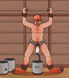 anthro blueballs_(artist) bondage bull cum excessive_cum human human_to_anthro male male_only mid_transformation milking milking_machine orange_fur orange_hair transformation transformation_sequence