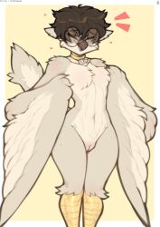anthro avian claweddrip feathers female furry glasses pussy round_glasses simple_background solid_color_background tagme