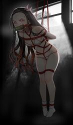 1girls arms_tied_behind_back bit_gag black_hair bondage bra breasts brown_hair crotch_rope dark_room demon_slayer gag gagged goyain hair_ribbon kamado_nezuko kimetsu_no_yaiba kinbaku legs_tied long_hair looking_at_viewer medium_breasts multicolored_hair panties pink_eyes pink_ribbon rope rope_between_breasts rope_bondage socks white_bra white_panties white_socks window