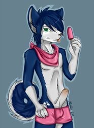 1boy 2010 anthro canine dog food fur furry hair_over_eyes havok husky looking_at_viewer machina_(artist) male male_only pants penis pink popsicle simple_background solo tail tattoo uncut