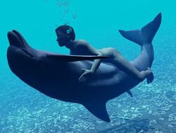 3d animal cetacean dolphin female feral human interspecies male marine straight zoophilia