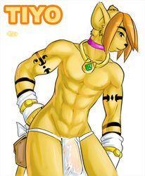 1boy anthro bulge feline furry hair_over_eyes lion loincloth male male_only matoc necklace penis pose potrait pouch solo tattoo tribal underwear white_background