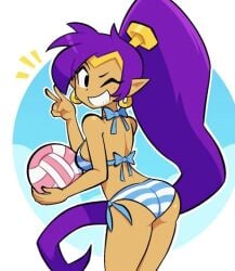 shantae (character) from shantae by dingitydingus