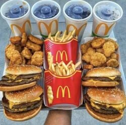 burger donald fries in mc