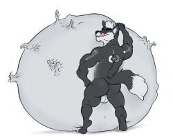 anthro balls belly big_belly black_body black_fur butt canid canine canis fur genitals heterochromia hewge huge_belly hyper hyper_belly male male_pred mammal nude oral_vore same_size_vore struggling struggling_prey tongue tongue_out vore white_body white_fur wolf