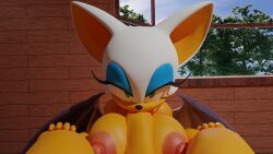 1boy 1girls anthro bat big_breasts blowjob canine fellatio female fox foxi3d furry huge_cock male/female nipples nude orange_fur paizuri pov rouge_the_bat sonic_(series) tails