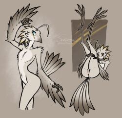 2022 anthro anus avian beak bird blue_eyes feathers female flat_chested genitals grey_body grey_feathers hi_res holding_legs legs_up long_legs lying lyra_(w4g4) nude nude_anthro nude_female on_back potoo presenting presenting_pussy pussy scottieman solo standing tail_feathers talons