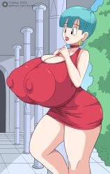 bulma briefs from dragon ball by toshiso