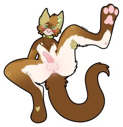 alex_ferret anus blush blushing_profusely brown_tail chest_tuft collar domestic_ferret embarrassed embarrassed_nude_male feet foot_focus furry genitals green_eyes heart hi_res holding_legs_up humanoid_genitalia humanoid_penis kaymation looking_at_viewer lying male mammal mustela mustelid musteline on_back pawpads paws penis pink_nose pink_pawpads presenting presenting_anus presenting_penis smile solo solo_focus spread_legs spreading submissive submissive_male true_musteline tuft