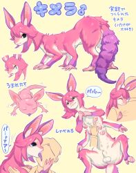 animal_genitalia balls belly_rub breasts buriburiri2 embrace feral futanari gender_symbol genitals gynomorph hi_res hug human hybrid intersex japanese_text male male_symbol mammal multi_arm multi_breast multi_limb pink_fur sheath solo symbol text translation_request unknown_species