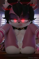 fan character from sega by coel3d