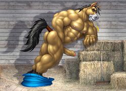 1boy braford equine horse male male_only muscles penis solo uncut