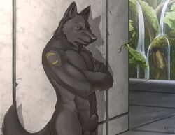 1boy anthro black canine furry keto male male_only muscles nude penis pose sheath solo tail topless tribal wolf