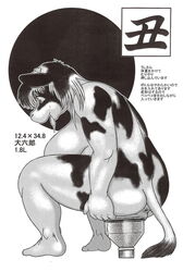 bovine bovine female japanese_text large_insertion nnh ruminant solo translation_request