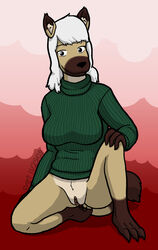 1girls anthro bottomless female female_only foxroo fur kangaroo kneeling mammal marsupial nadia solo spread_legs spreading svet tagme turtleneck