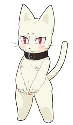 animal_crossing blanca_(animal_crossing) breasts feline female nintendo nipples pose pussy solo source_request year_request yuu