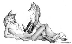 2004 anthro blackteagan breasts canine canine_penis couple female fox fur furry handjob male masturbation nude penis straight wolf