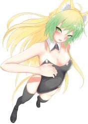 artist_request atalanta_(fate) braided_hair bunnysuit cat_ears fate/apocrypha fate/grand_order fate_(series) green_eyes green_hair leotard multicolored_hair neckwear shoes stockings tagme yellow_hair