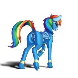 1girls anatomically_correct_pussy anus aquaticvibes ass blue_skin bodysuit butt female_only friendship_is_magic from_behind furry multicolored_hair my_little_pony pony puffy_anus pussy rainbow_dash_(mlp) raised_tail smile smooth_skin torn_clothes white_hair