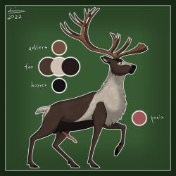 2022 animal_genitalia animal_penis antlers balls capreoline cervid cervine_penis digital_media_(artwork) erection feral fur genitals hi_res hooves horn horny male mammal model_sheet nude penis reindeer reinderworld rutting simple_background solo text