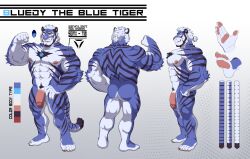 2022 absurd_res anthro ass blue_body blue_fur bluedy_(estper) color_swatch countershade_arms countershade_face countershade_fur countershade_legs countershade_torso countershading english_text estper felid fur genitals glans hi_res humanoid_genitalia humanoid_penis male mammal model_sheet muscular muscular_anthro muscular_male pantherine pawpads penis solo striped_body striped_fur stripes text tiger