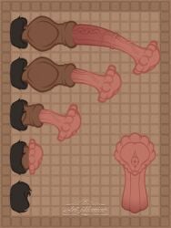 animal_genitalia art_imaniac big_penis chart disembodied_penis genitals hi_res knot knotted_penis long_penis noth_(art_imaniac) penis penis_chart sheath unusual_anatomy unusual_genitalia unusual_penis
