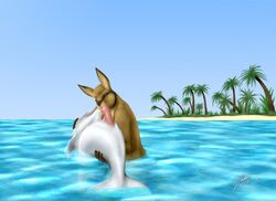 3d anthro_bestiality cetacean couple dolphin fellatio feral gay jako kangaroo male marine marsupial oral oral_sex penis sex