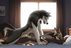 2026 anal anal_penetration animated anthro anthro_on_anthro anthro_penetrated anthro_penetrating anthro_penetrating_anthro balls bed biped butt canid canine canis claws countershade_torso countershading digital_drawing_(artwork) digital_media_(artwork) domestic_dog duo erection fingers fur furniture genitals hi_res inside male male/male male_penetrated male_penetrating male_penetrating_male mammal nude nude_anthro nude_male penetration penile penile_penetration penis penis_in_ass pillow sex sterr tail window
