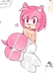 amy rose from sonic (series) by 2x